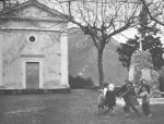 Innocenti giochi di fiori recisi