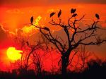 Rosso tramonto