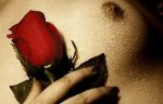 L' odore del sesso