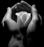 Ti amo
