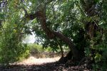 Passeggiando in campagna