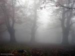 Accarezzo la terra dottobre