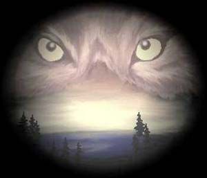 Notte di Luna Piena