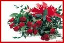 Nell'Amore