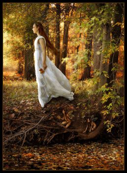 Autunno alle porte