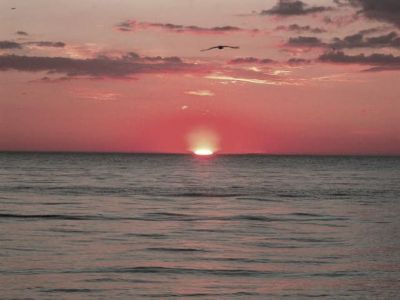 Un'alba d'estate