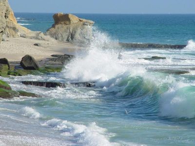 Il tuo grande amore arriverà dal mare