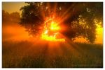 Oltre la luce