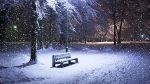 Dolce amata neve