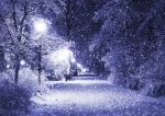 Ultima nevicata