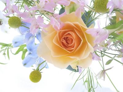 Un fiore d'amore