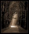 Luce