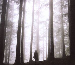 Mistica natura