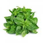 Si comm’è nù giardino