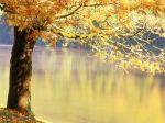 È in autunno