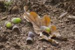 Separazione