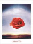 La rosa