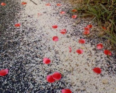 Sentieri Grigi A Celar Le Rose
