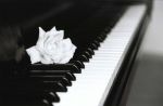 Il Calore del Mio Pianoforte