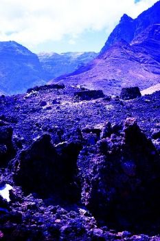 L'ultimo Guanche