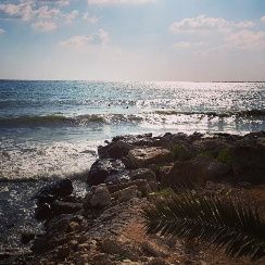 La riva