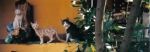 Il mio amore per i gatti