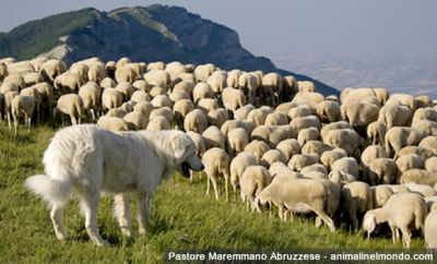La risposta della luna