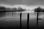 Nebbia  