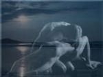 L'Anima è graffiata