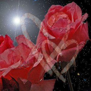 Luce del cuore
