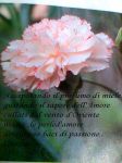 Il confine