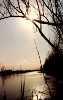 Spirito di Morte