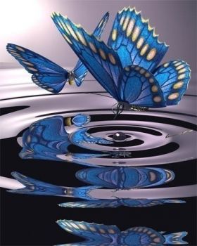 Baci silenti