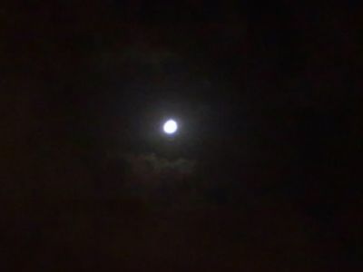 Il canto