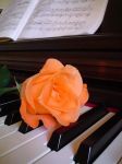 Come un valzer di Chopin