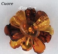 Cuore d'ambra 2008