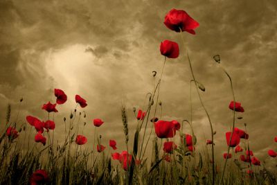 Rosso corallo