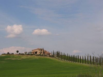 La mia terra