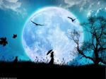 Profuma la notte
