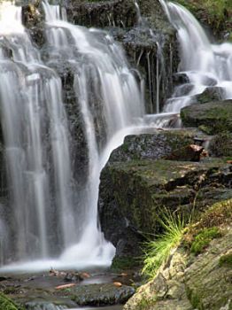 Acqua