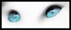 Occhi blu