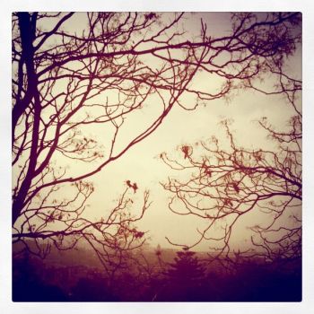 Inverno  