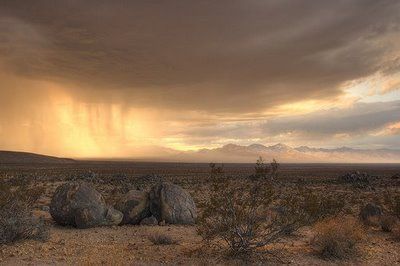 Deserto Divino  