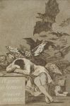Il ponte della ragione
