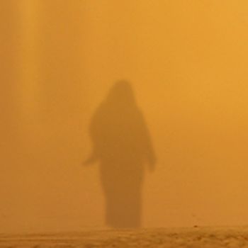 La luce del ...poeta  