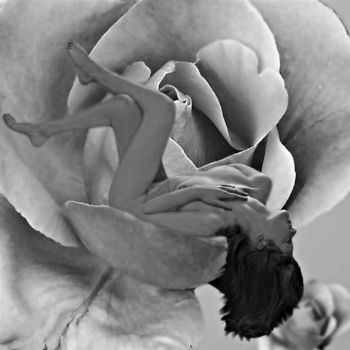 Fiorire