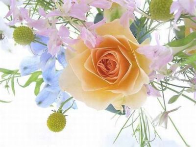Cantico alle rose