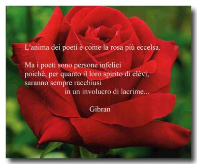 Grazie, poeti!