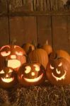 Requiem per una zucca