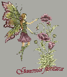 Generosa fioritura